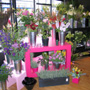 Inside our flower shop