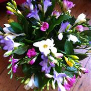 Mixed Freesia Basket